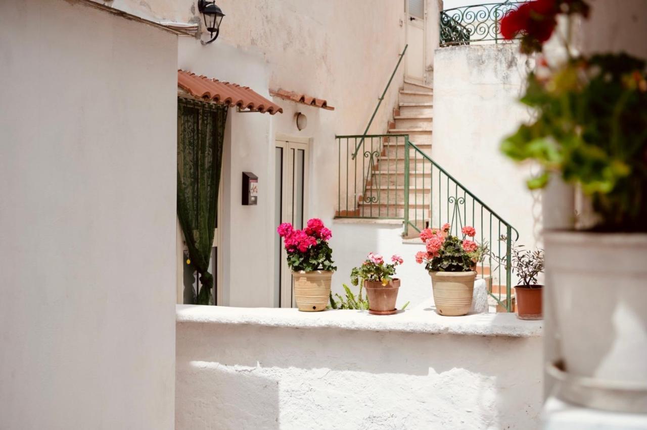 Il Riccio Apartment 28 Procida Eksteriør billede
